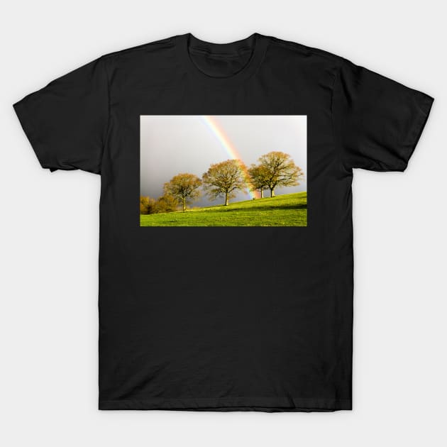 The Rainbow And The Three Oaks T-Shirt by heidiannemorris